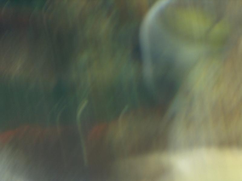HPIM0750.JPG