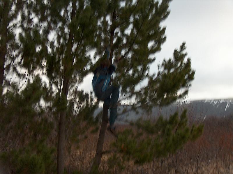 HPIM0962.JPG