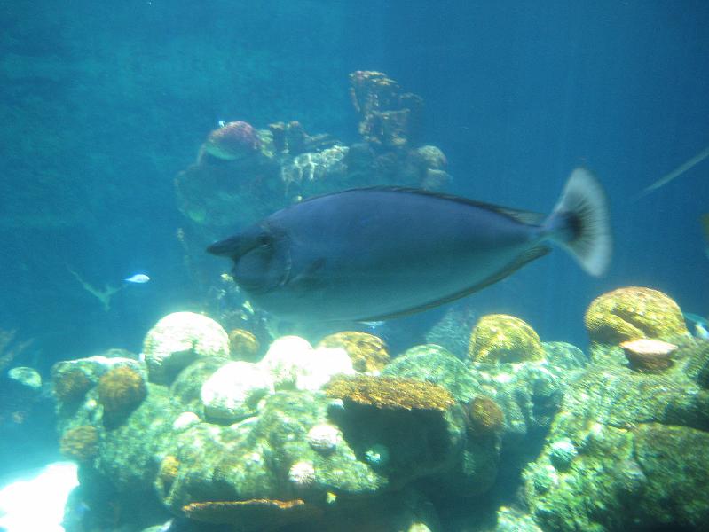 IMG_0030.JPG