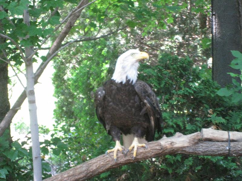 IMG_0058.JPG