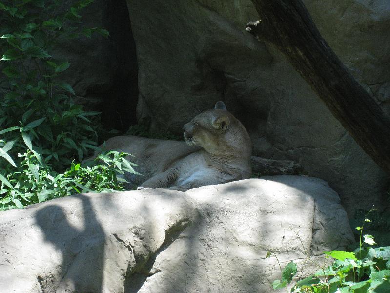 IMG_0060.JPG