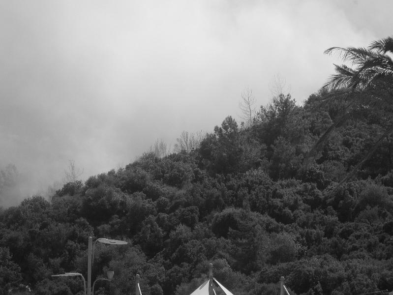 IMG_0445.JPG